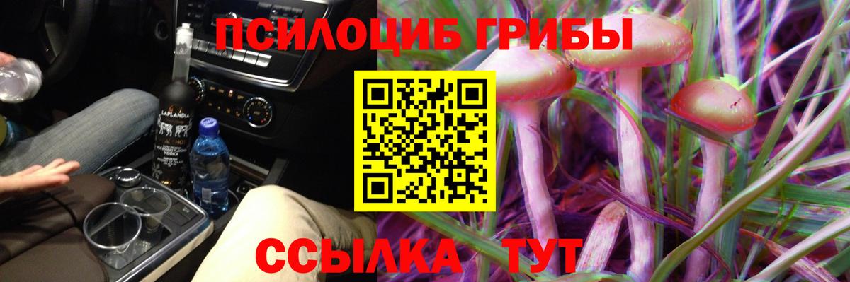 Галлюциногенные грибы Psilocybe Алушта